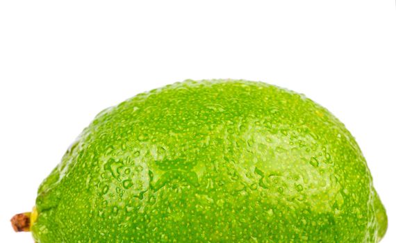 Half fresh lime fruit with drops on a white background