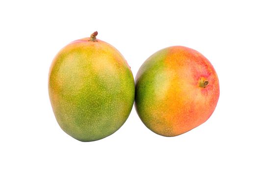 Two fresh mango tropical fruit isolated on white background