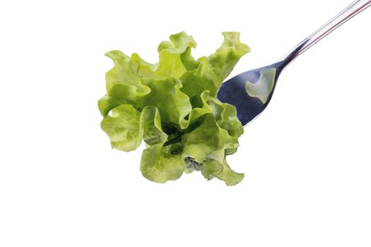 Fresh lettuce leaves on the metal fork on a white background