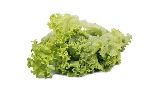 Fresh green lettuce leaves isolated on white background