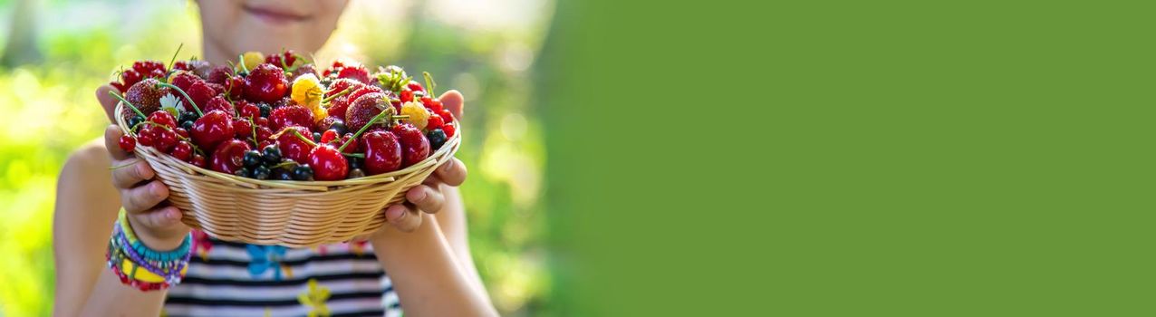 The child eats berries in the garden. Selective focus. Kid.