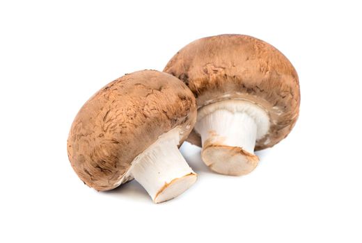 Two royal champignon mushroom on a white background