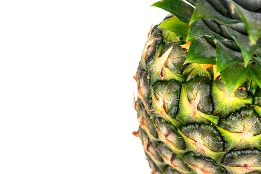Part fresh fruit pineapple on a blank white background