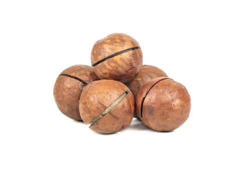 Small pile of macadamia nuts in a shell on a white background