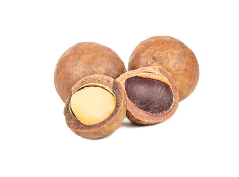 Macadamia nuts with a split half on a white background