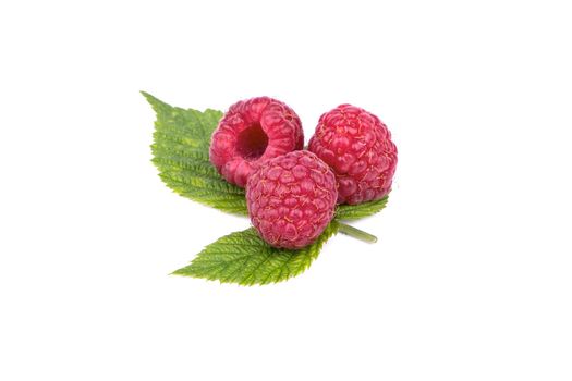 Three fresh red raspberries on a leaf on a white background