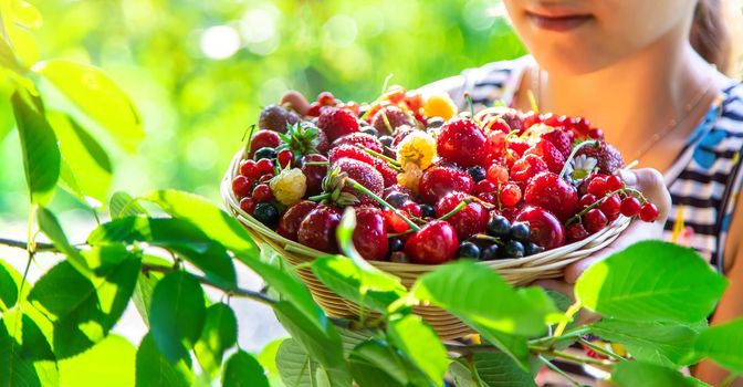 The child eats berries in the garden. Selective focus. Kid.