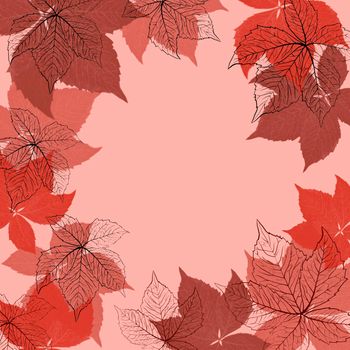 Hand drawn square frame background with fall autumn vine grale leaves. Red beige marsala leaf template with copyspace. Elegant natural foliage plants