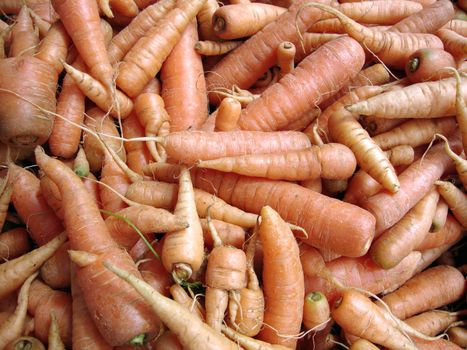 bunch of Organic Farmers Market Carrots