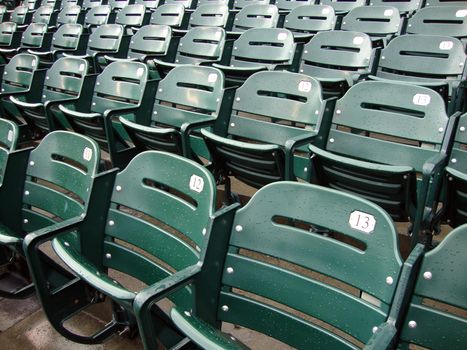 Rows of empty wet green stadium seats, seats number 13, 12, 11. AT&T Park San Francisco