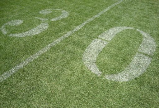 30 yard line on fake grass at the San Francisco 49ers field Candlestick