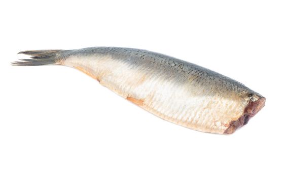 Salted herring without head isolated on white background