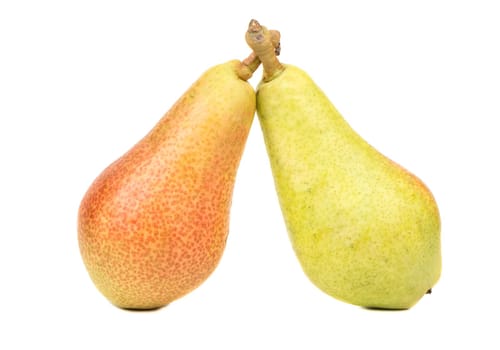 Two fresh fruits are pears on white background