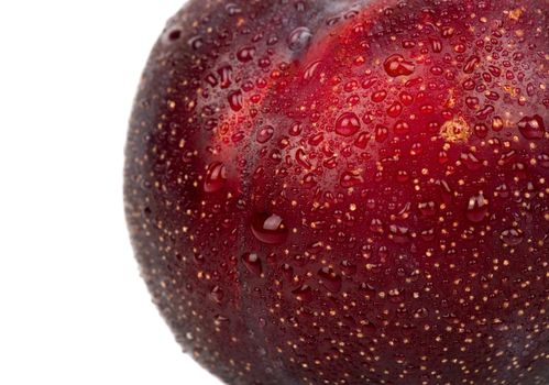 Big ripe red plum with water drops closeup