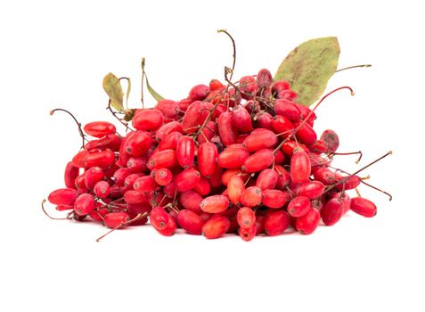 Lot of barberry branches close-up on a white background