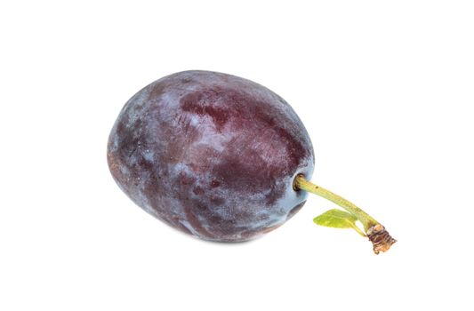 Fresh blue plums with a sheet lies on a white background