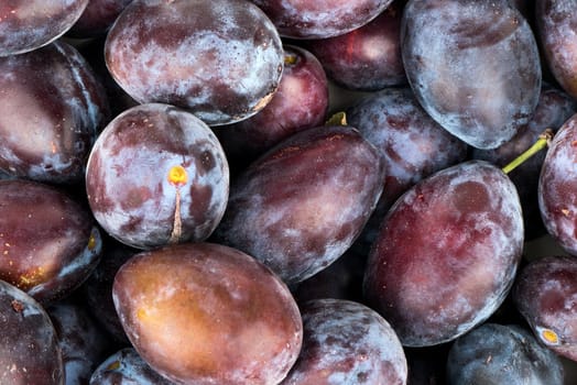 Background of fresh and ripe blue plums close up