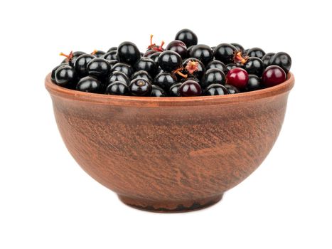 Fresh bird cherry in bowl isolated on white background