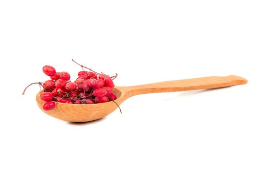 Branches of barberries in wooden spoon on white background