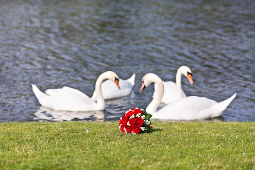 Wedding bouquet in the grass on the background of swans in the lake