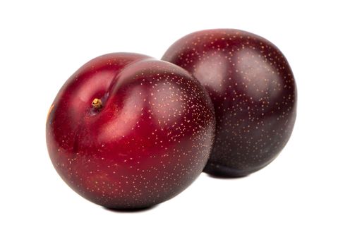 Two ripe large red plums isolated on white background