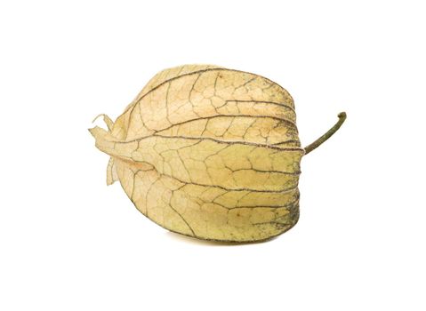 Fresh fruit with the peel of physalis isolated on a white background