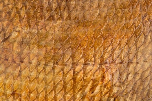 Background of golden of smoked fish scales close-up