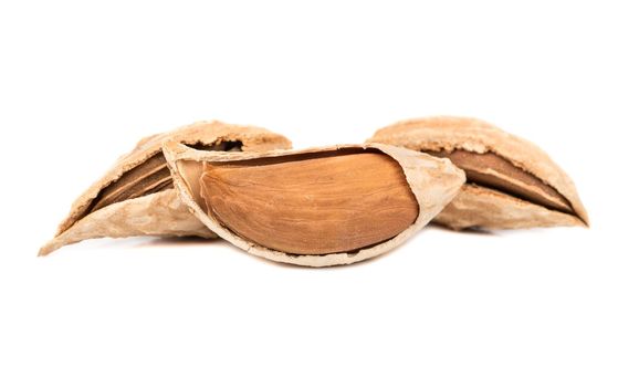 Dry wild uzbek almonds on white background