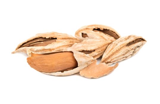 Several wild uzbek almonds on white background