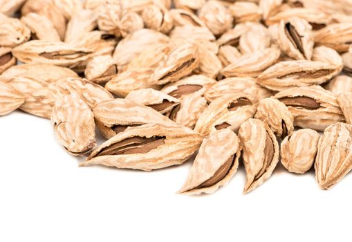 Scattered uzbek almonds in shell on a white background