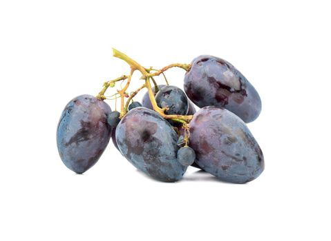 Small branch of fresh blue grapes on a white background