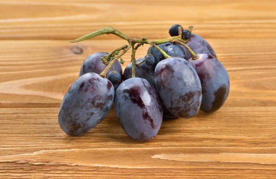 Small branch of blue grapes on table