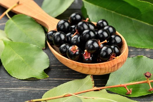 Fresh bird cherry in spoon with leaves on wooden background