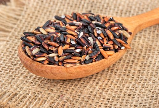 Raw wild rice in spoon on burlap close-up