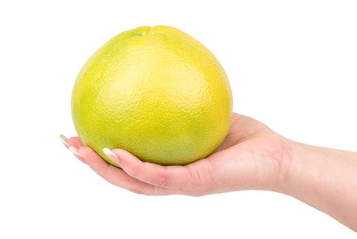 Fresh fruit Oroblanco on a female hand on a white background