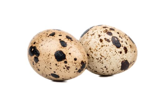 Two raw spotted quail eggs isolated on white background