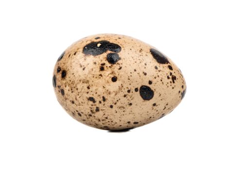 Fresh quail egg isolated on white background