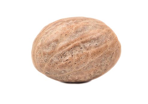 Dry nutmeg isolated on white background closeup