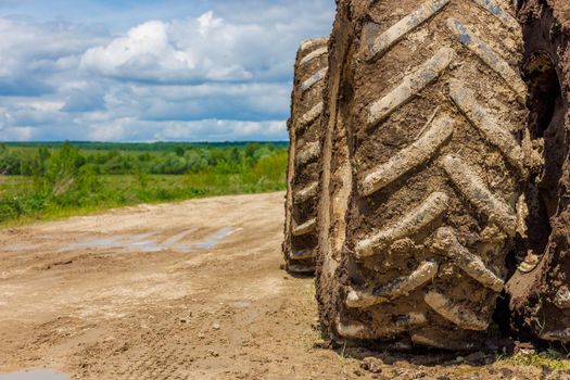 dirty double wheels of agriculture tractor on dirt road at sunny summer day on dirt road with blurry green field in the background