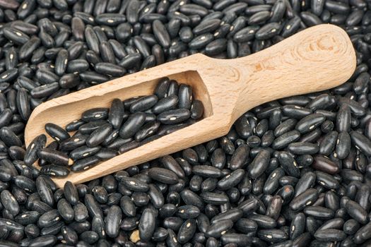 Bunch of raw black beans with a wooden scoop closeup