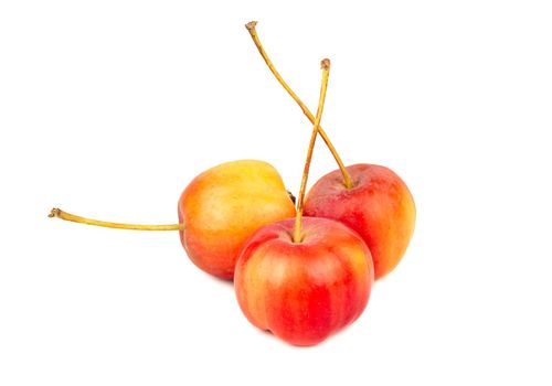 Three small paradise apples on white background