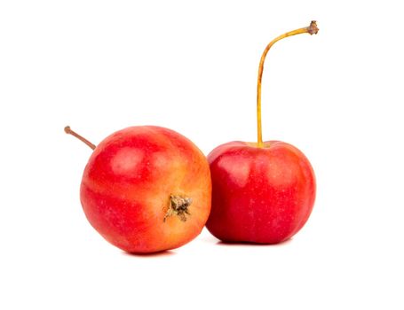 Two small paradise apples on white background