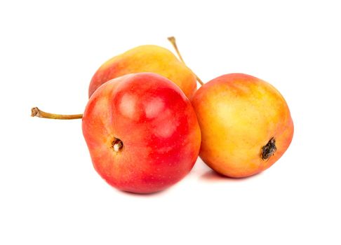 Three small paradise apples on white background closeup