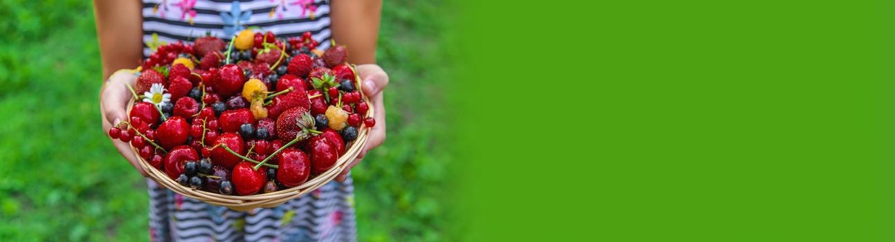 The child eats berries in the garden. Selective focus. Kid.