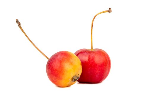 Two small paradise apples on white background