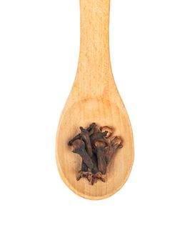Wooden spoon with dry cloves isolated on white background closeup, top view