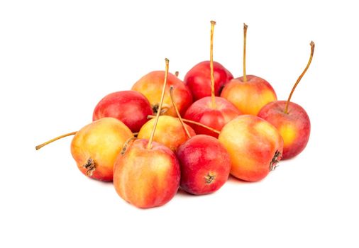 Several small paradise apples on a white background