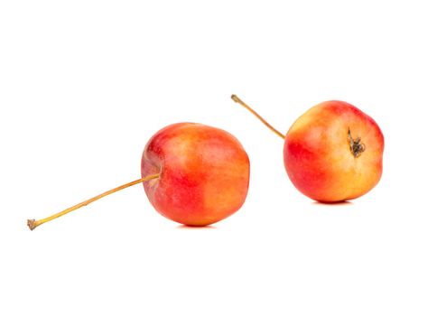 Two small paradise apples on white background