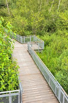 Recreational deck with observation over the park of Burnaby lake.