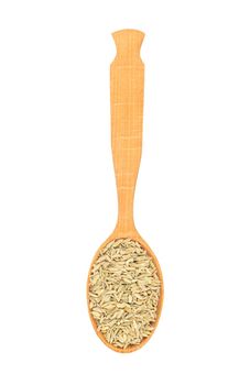 Large wooden spoon with dry fennel isolated on white background, top view